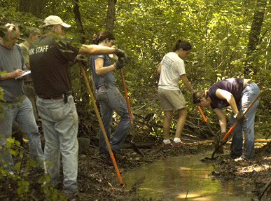 volunteers at Carpenter's Woods